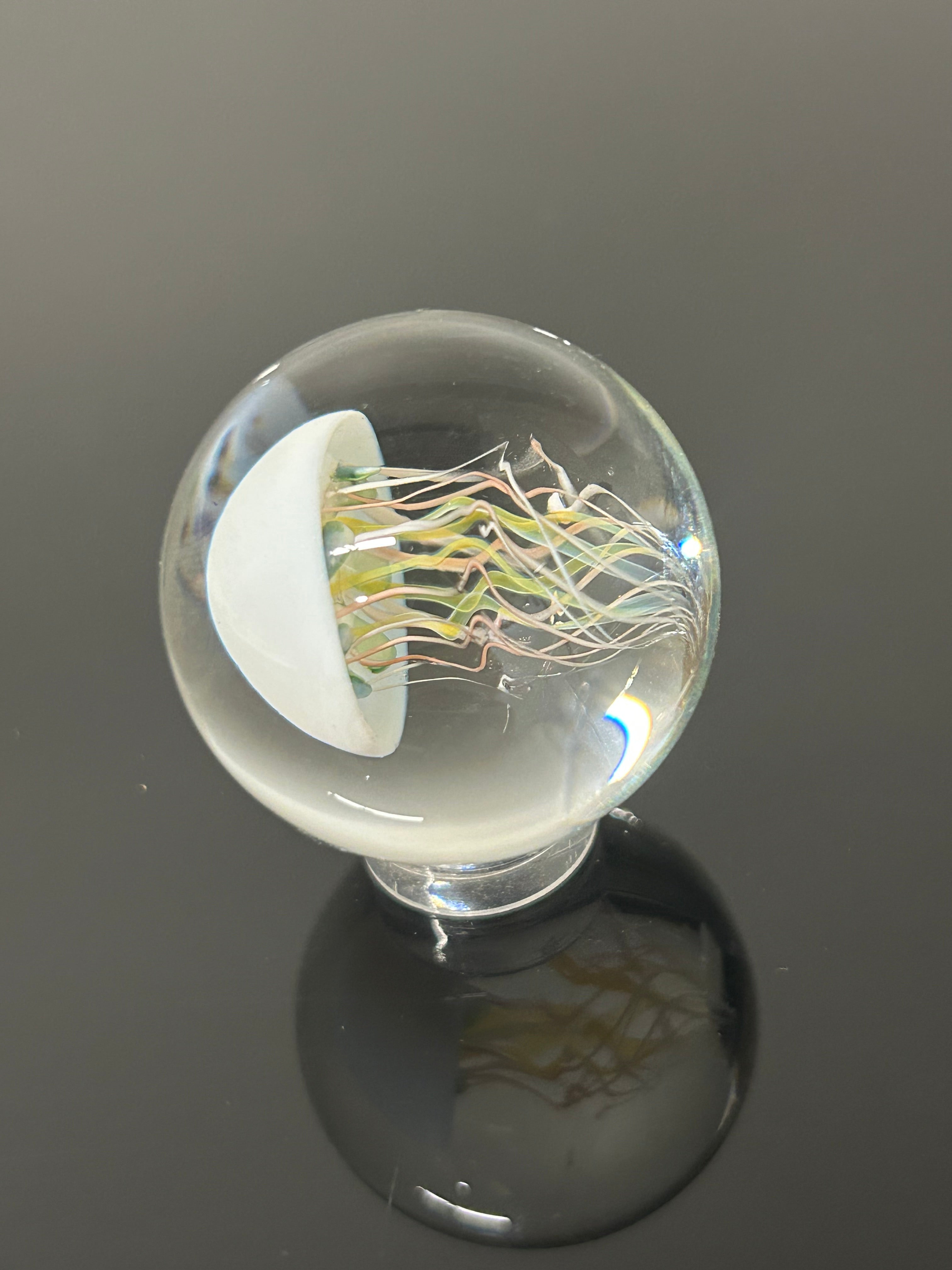Jellyfish Marble #105