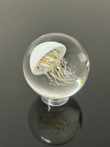 Jellyfish Marble #105