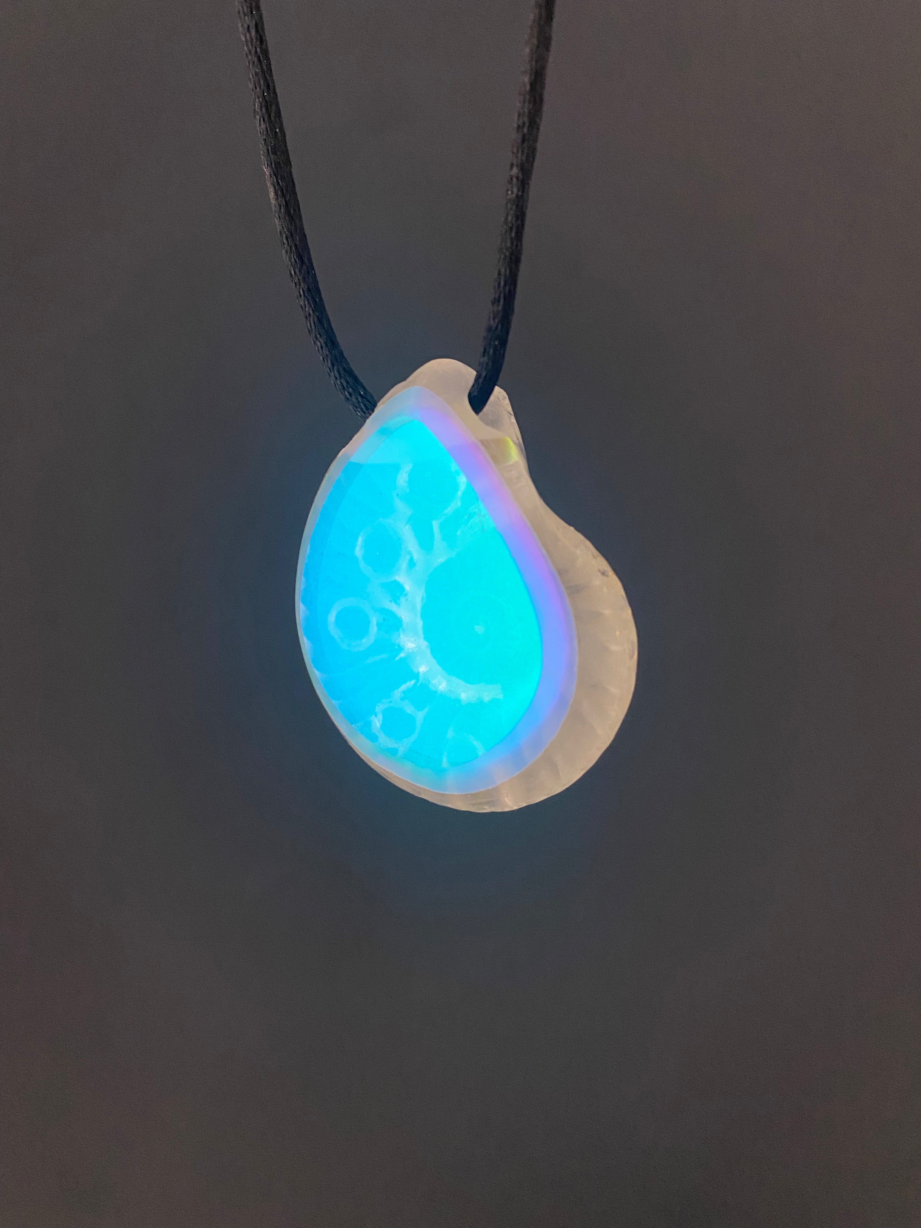 Nodule Ammonite Pendant