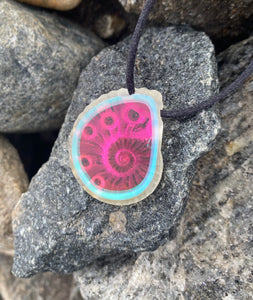 Nodule Ammonite Pendant